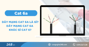 cat 6a