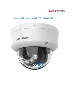 Camera IP Hikvision DS-2CD1121G2H-LIU